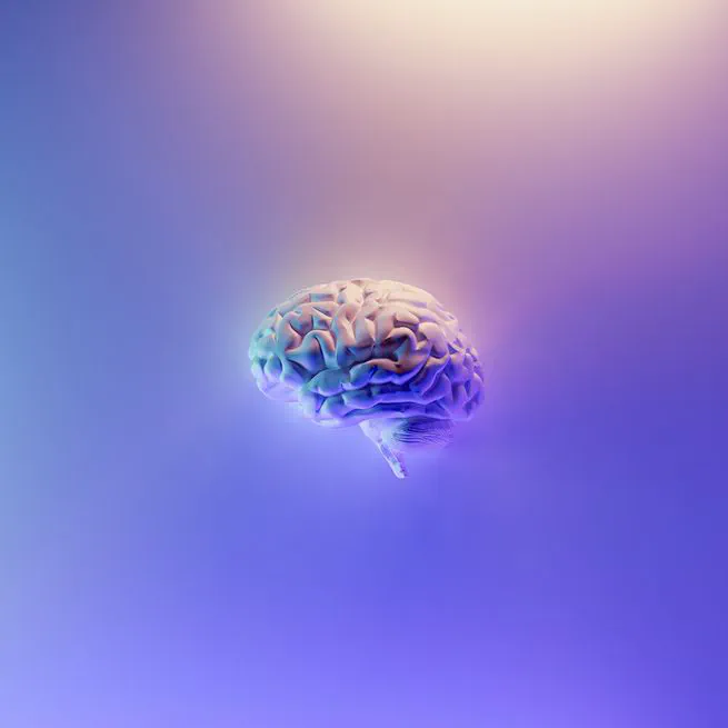 🧠 Отточите мышление с помощью второго мозга